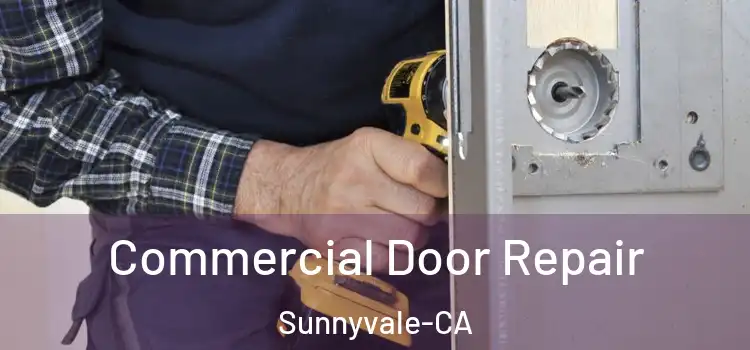  Commercial Door Repair Sunnyvale-CA